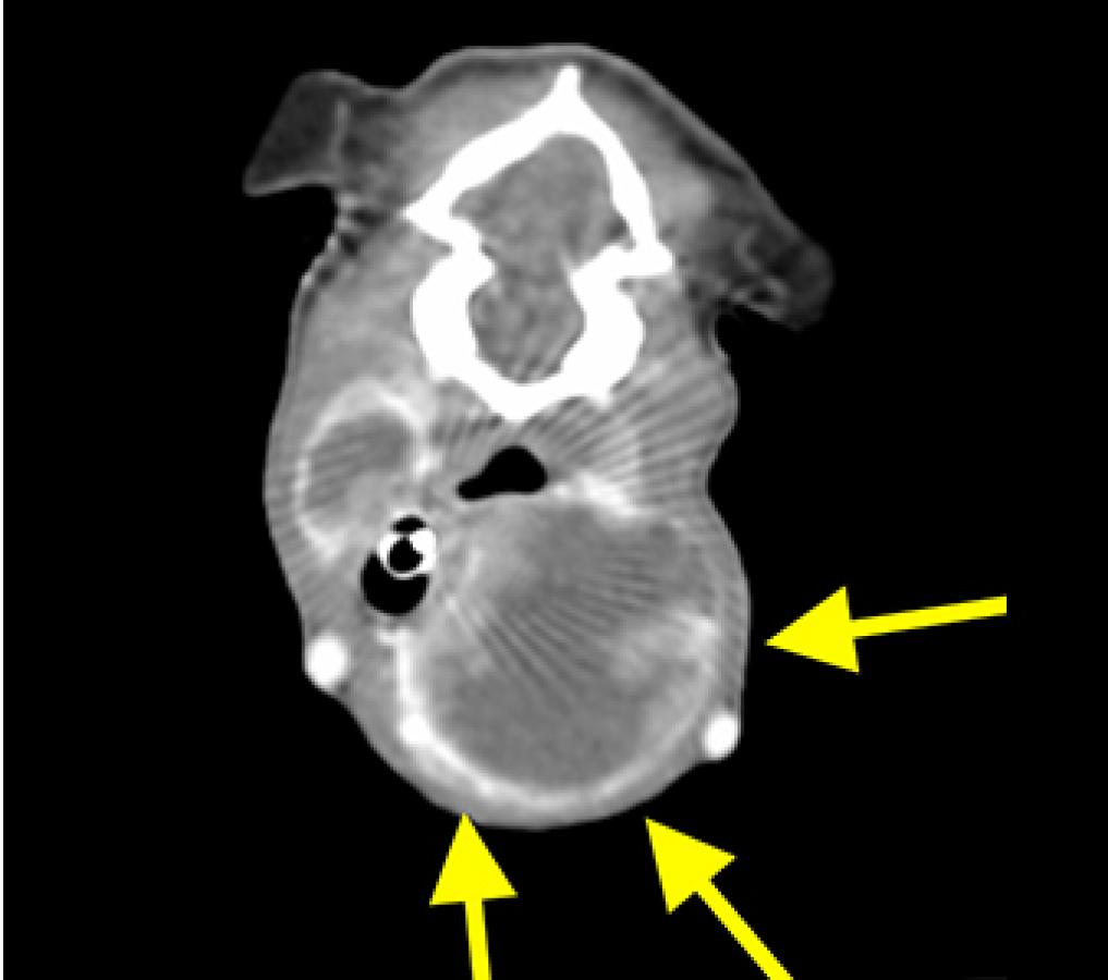 case08